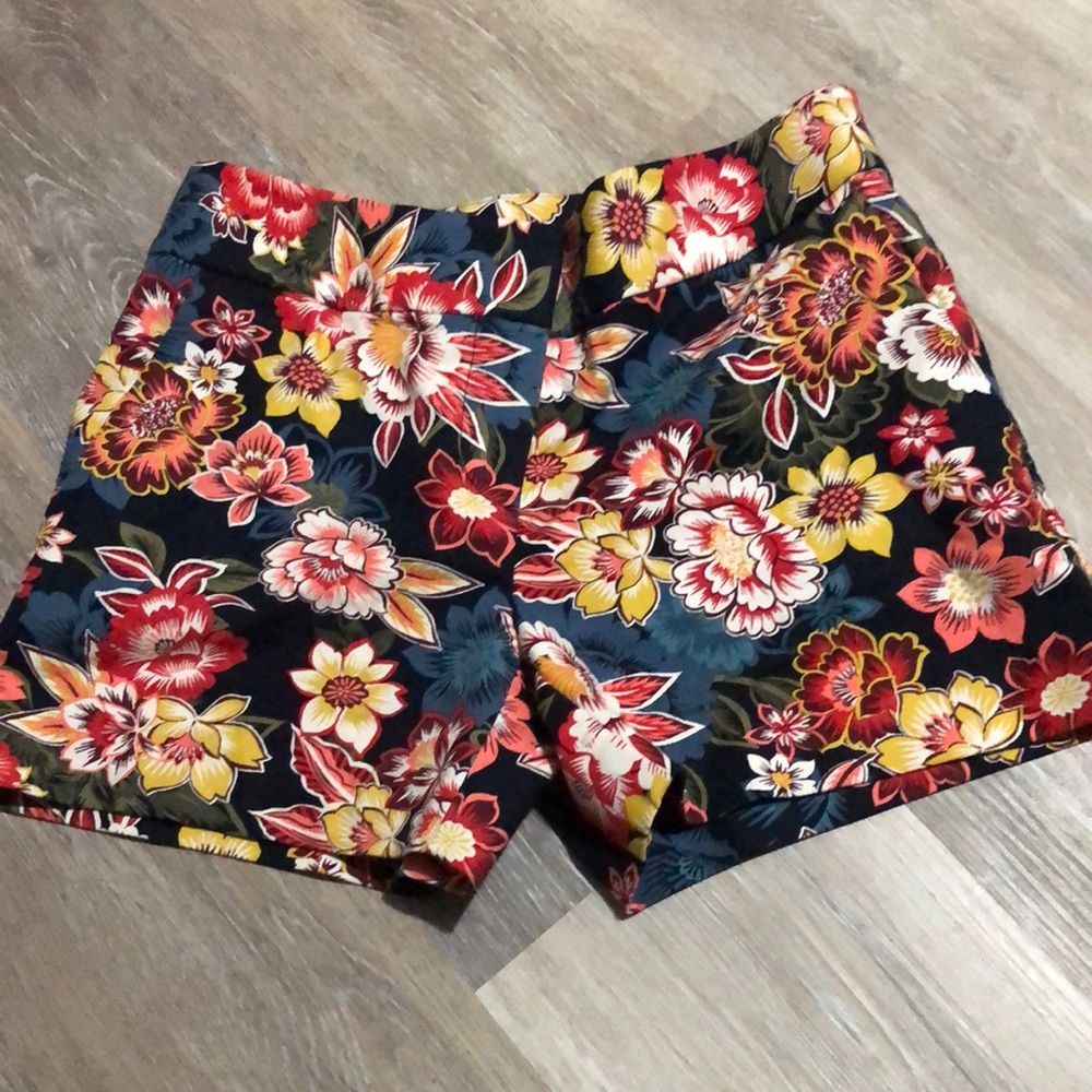 Loft Shorts